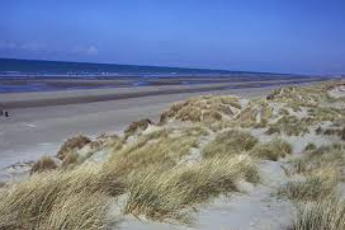 DUNES DU PERROQUET