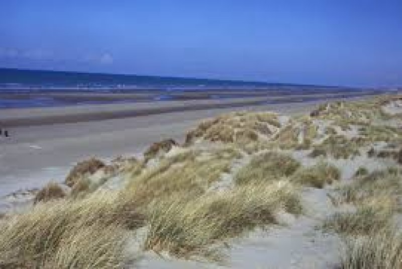 DUNES DU PERROQUET