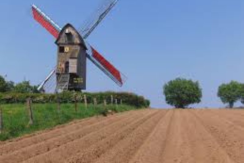 Du moulin Den Leeuw et du pain