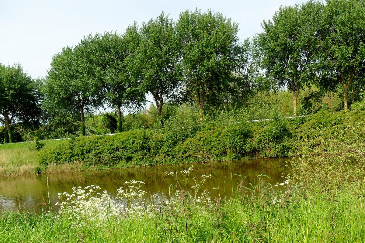 Le chemin des écoliers